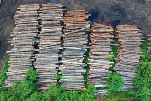 legname biomassa centrale