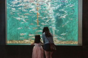 animali acquari giardini zoologici clubbez