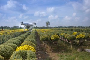 tecnologia agricoltura integrata clubbez
