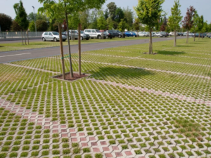 parcheggio grigliato erboso città spugna clubbez