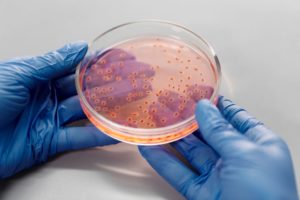 coltura batterica antibiotico resistenza cambiamento climatico clubbez